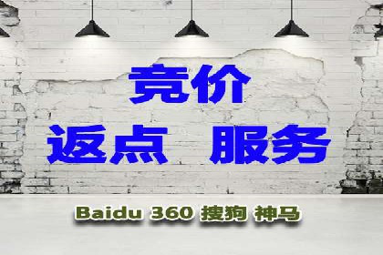 深入解析SEM竞价托管的成功案例